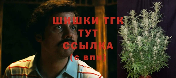 ECSTASY Белокуриха