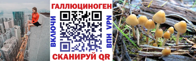 Псилоцибиновые грибы прущие грибы  что такое наркотик  Красный Холм 