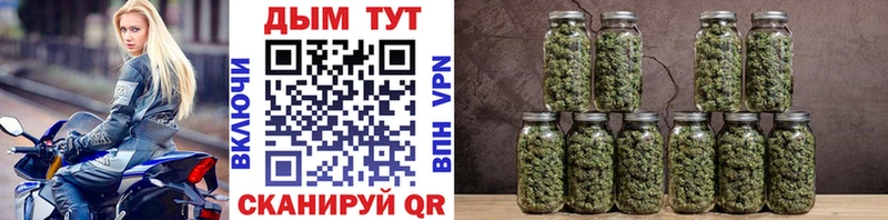 Бошки марихуана Bruce Banner  Красный Холм 